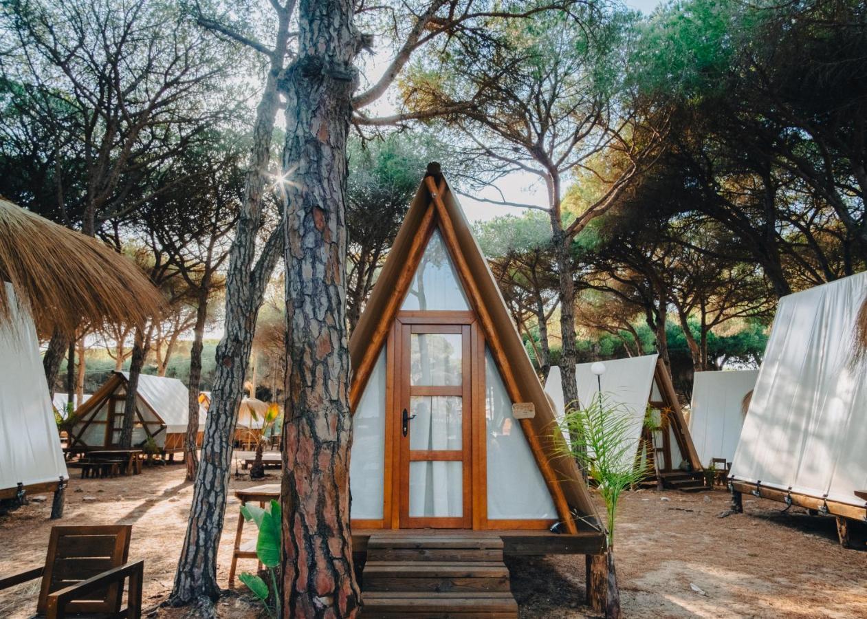 Campsite Taiga Conil Conil De La Frontera