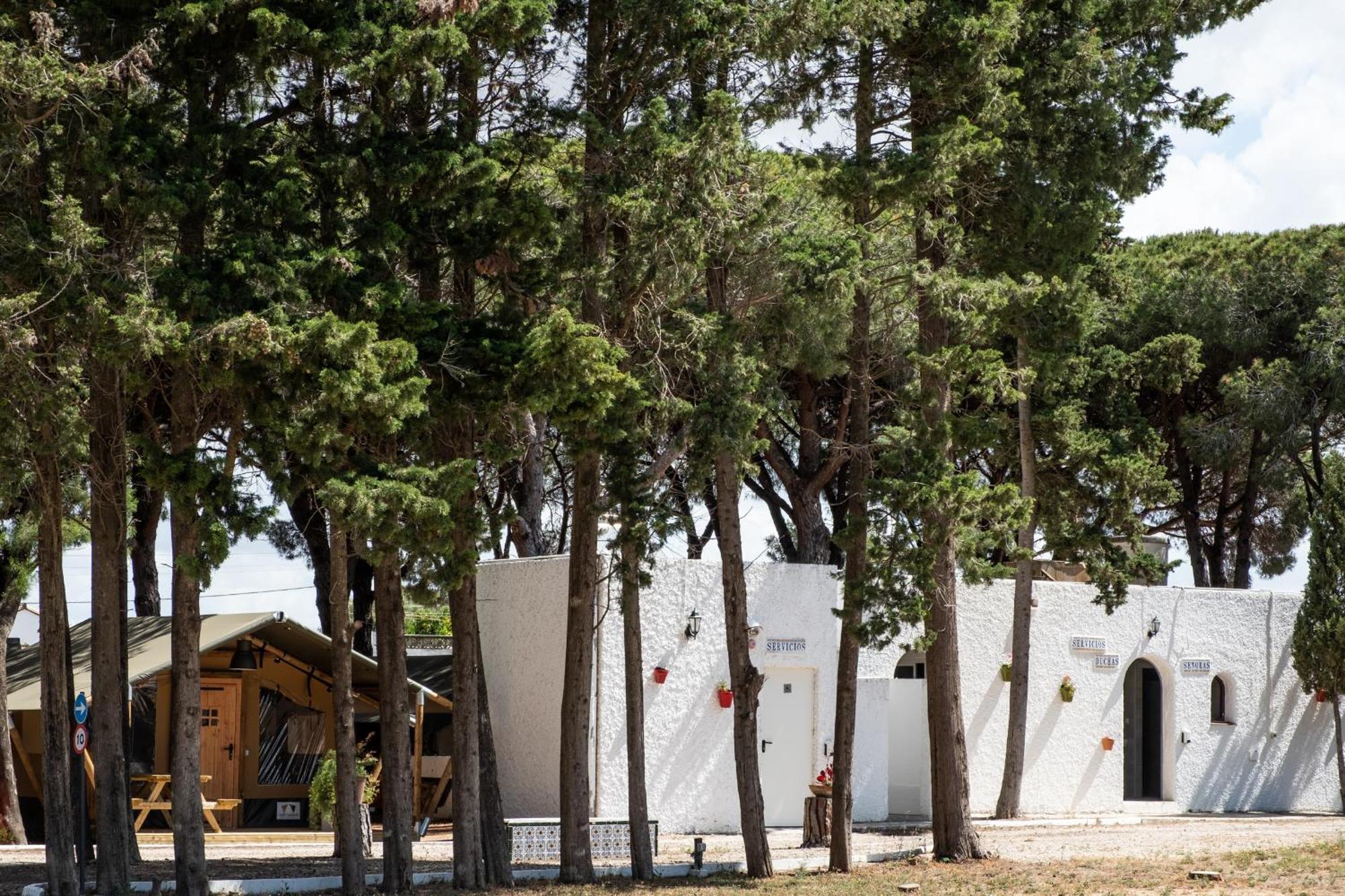 Taiga Conil Campsite Conil De La Frontera