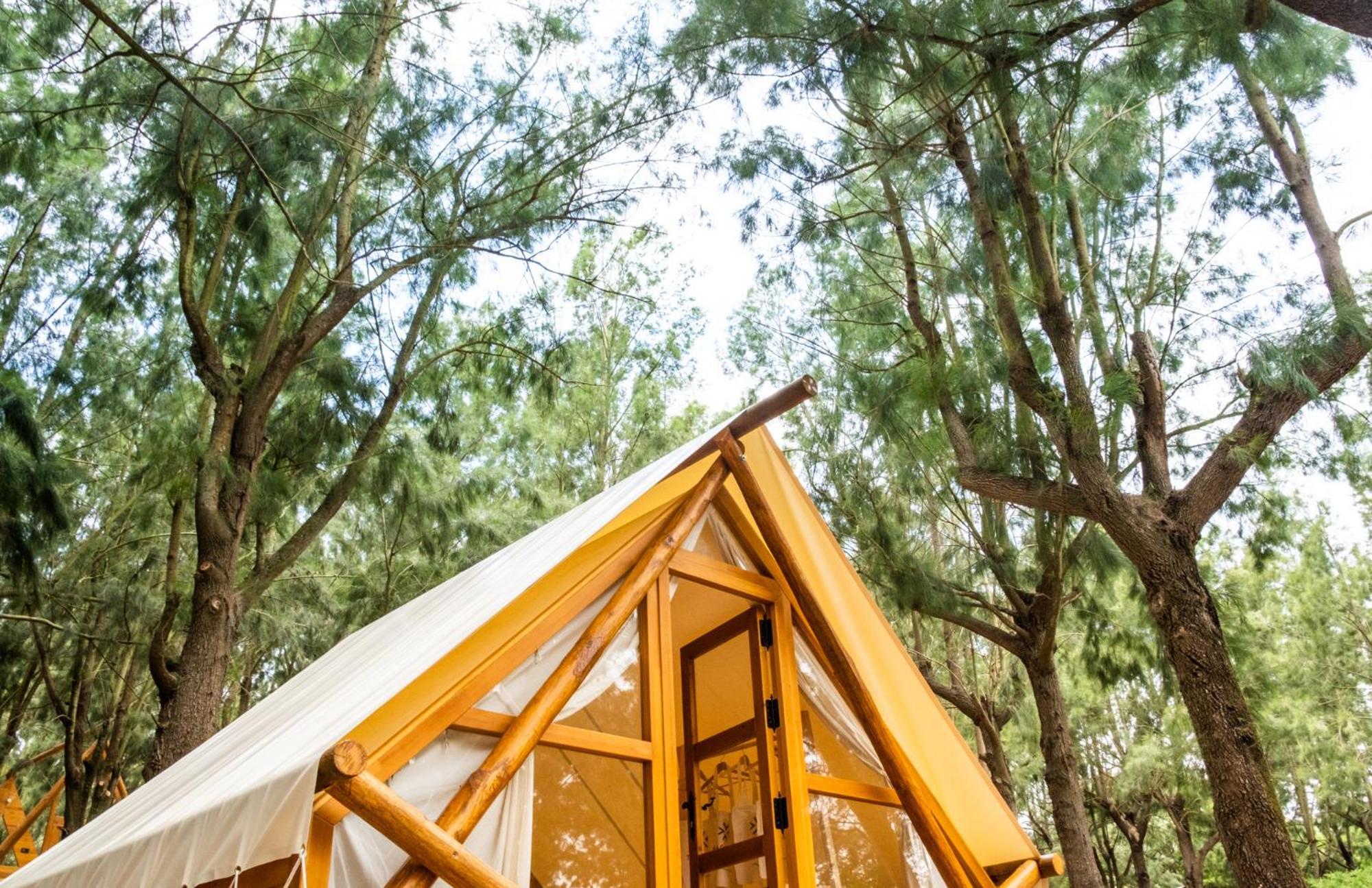 Taiga Conil Campsite *