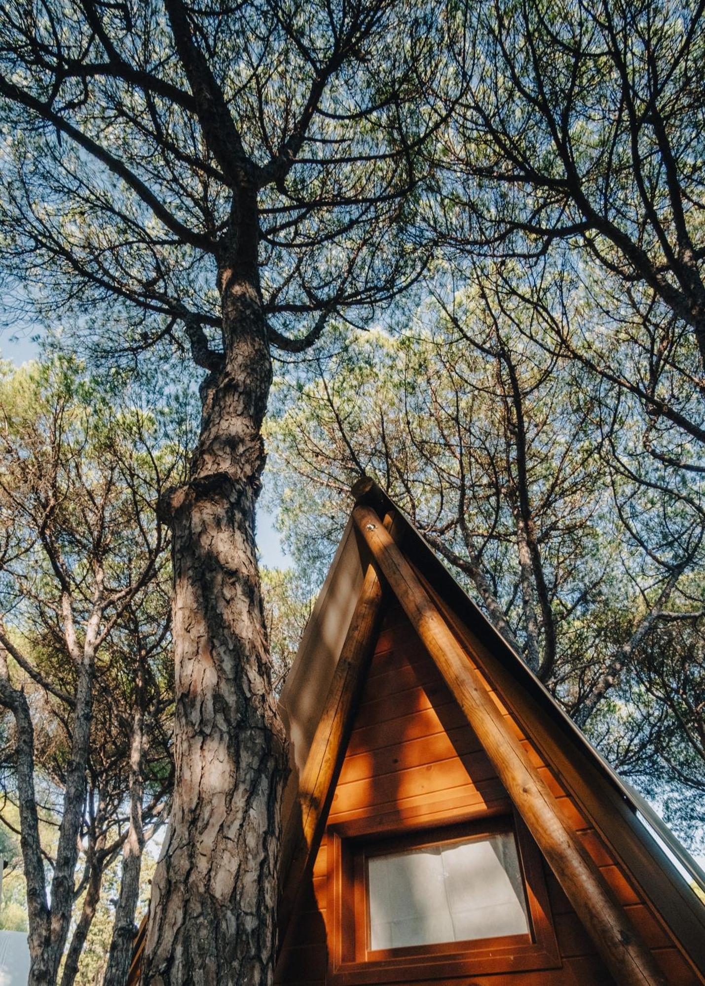 Camping Taiga Conil Conil De La Frontera